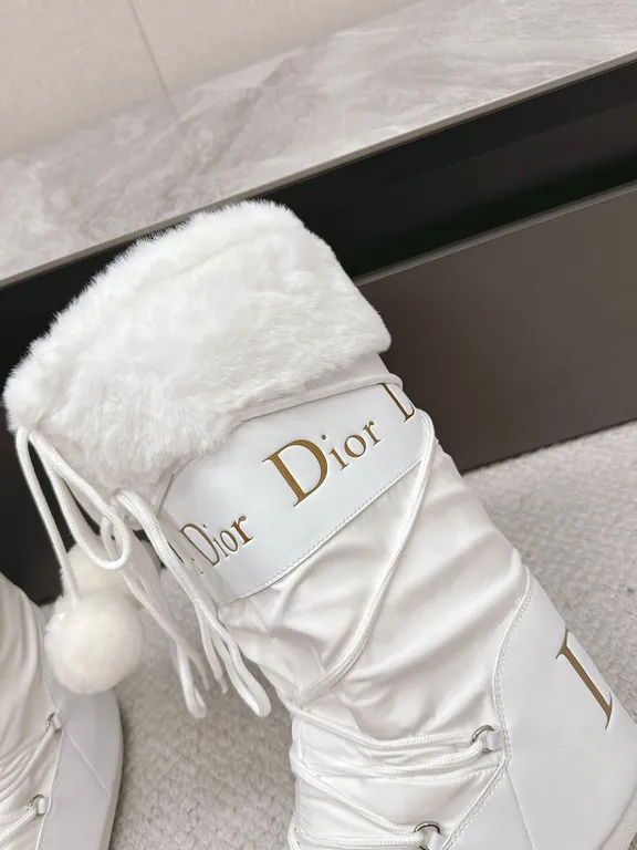 Dior Shoe 